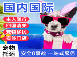 海西德令哈机场快递国际宠物托运 【国